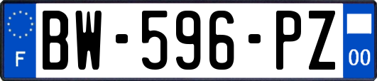 BW-596-PZ