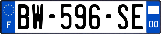 BW-596-SE