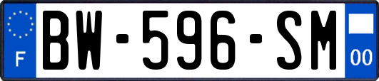 BW-596-SM