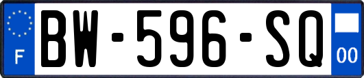 BW-596-SQ