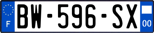 BW-596-SX