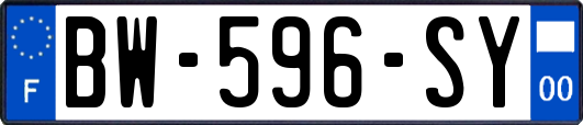 BW-596-SY