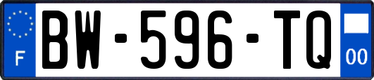 BW-596-TQ
