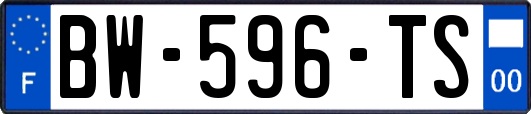 BW-596-TS