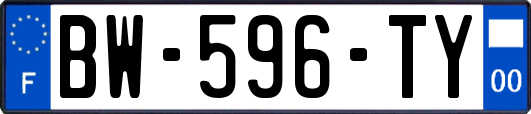 BW-596-TY