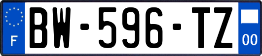 BW-596-TZ