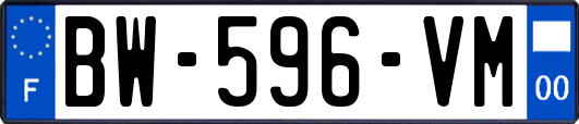 BW-596-VM