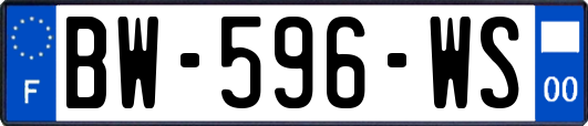 BW-596-WS