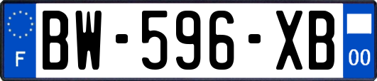 BW-596-XB