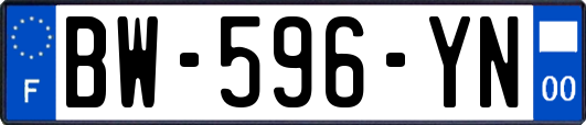 BW-596-YN