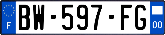 BW-597-FG