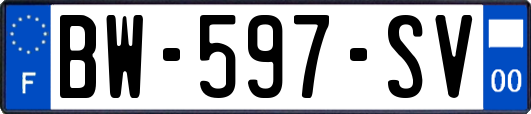 BW-597-SV