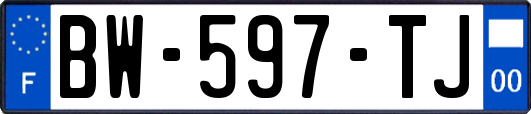 BW-597-TJ