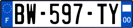BW-597-TY