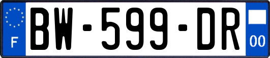 BW-599-DR