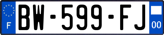 BW-599-FJ