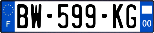 BW-599-KG