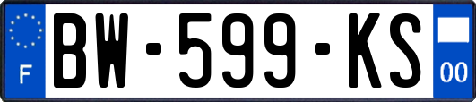 BW-599-KS