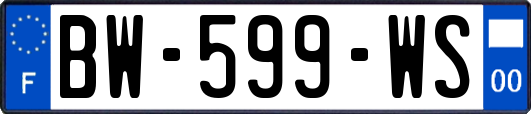 BW-599-WS