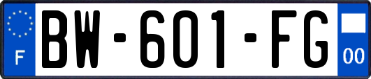 BW-601-FG