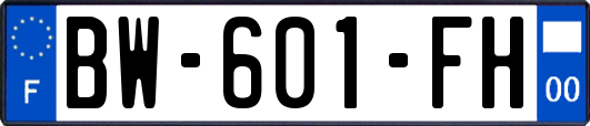 BW-601-FH