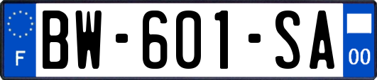 BW-601-SA