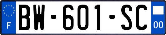 BW-601-SC
