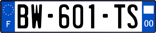 BW-601-TS