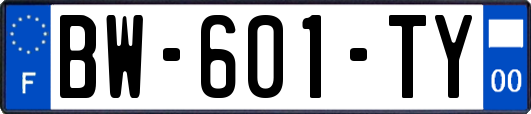 BW-601-TY