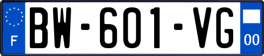 BW-601-VG
