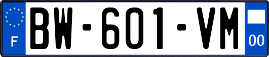 BW-601-VM