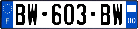 BW-603-BW