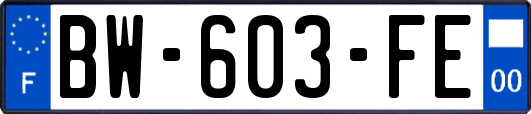 BW-603-FE