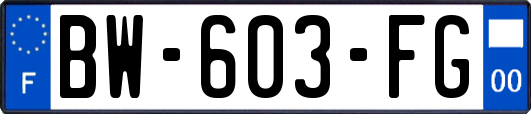 BW-603-FG