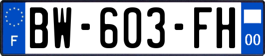 BW-603-FH