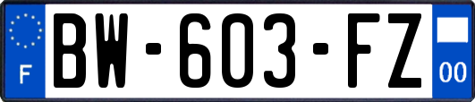 BW-603-FZ