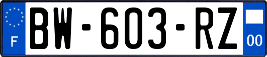 BW-603-RZ