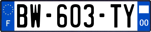BW-603-TY