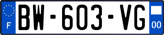 BW-603-VG