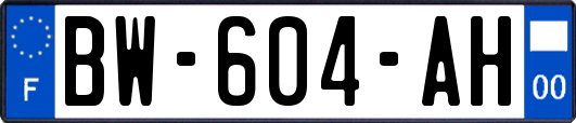 BW-604-AH