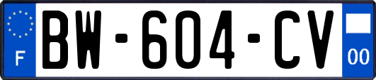 BW-604-CV