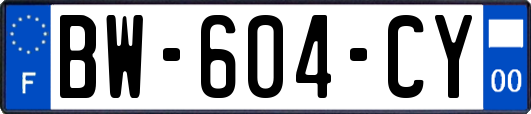 BW-604-CY