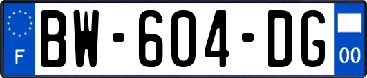 BW-604-DG