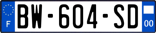 BW-604-SD