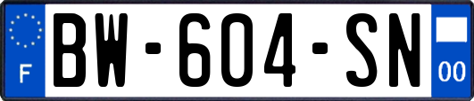 BW-604-SN