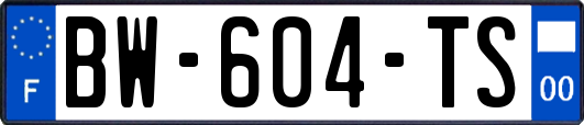 BW-604-TS