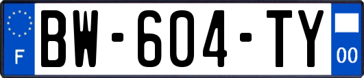 BW-604-TY