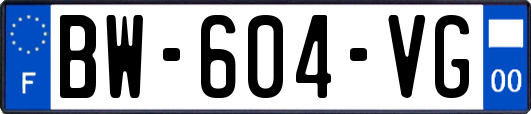 BW-604-VG