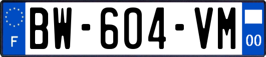 BW-604-VM