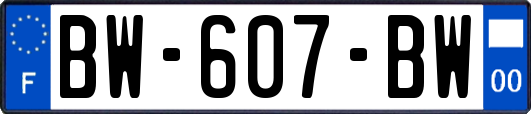 BW-607-BW